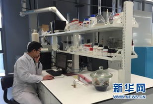 技术大咖的冷思考 清洁能源设备研发背后的棋局